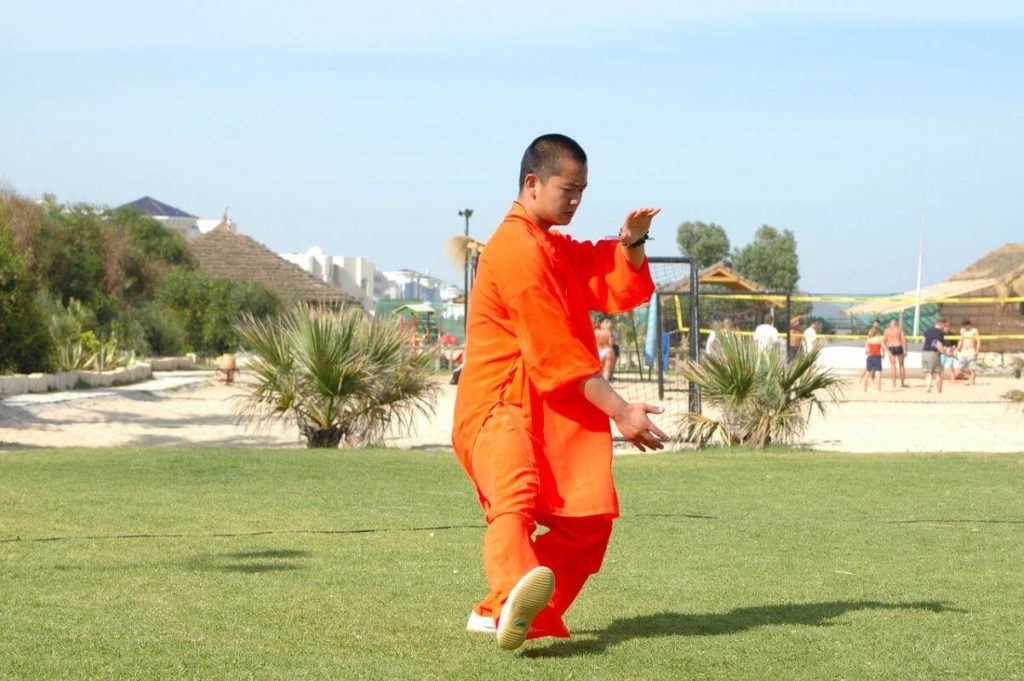 108 mouvements tai chi